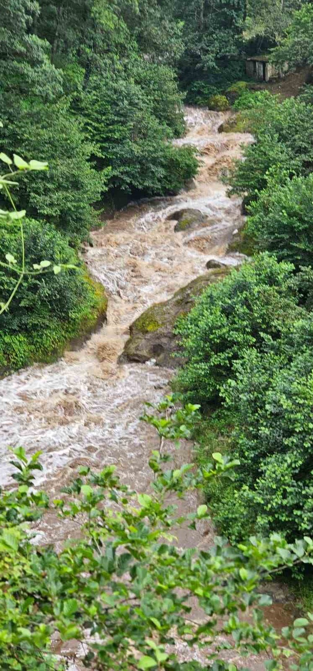 Giresun'da facia! Anne ile iki kızı sel sularına kapıldı