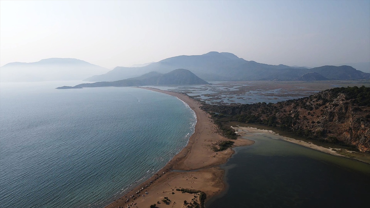 Tuba, Akdeniz\'de 25 Bin Km Seyahat Etti