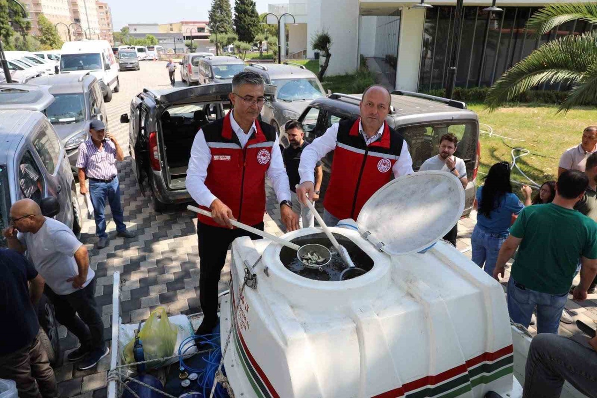 Manisa\'da 1 Milyon Balık Salınıyor