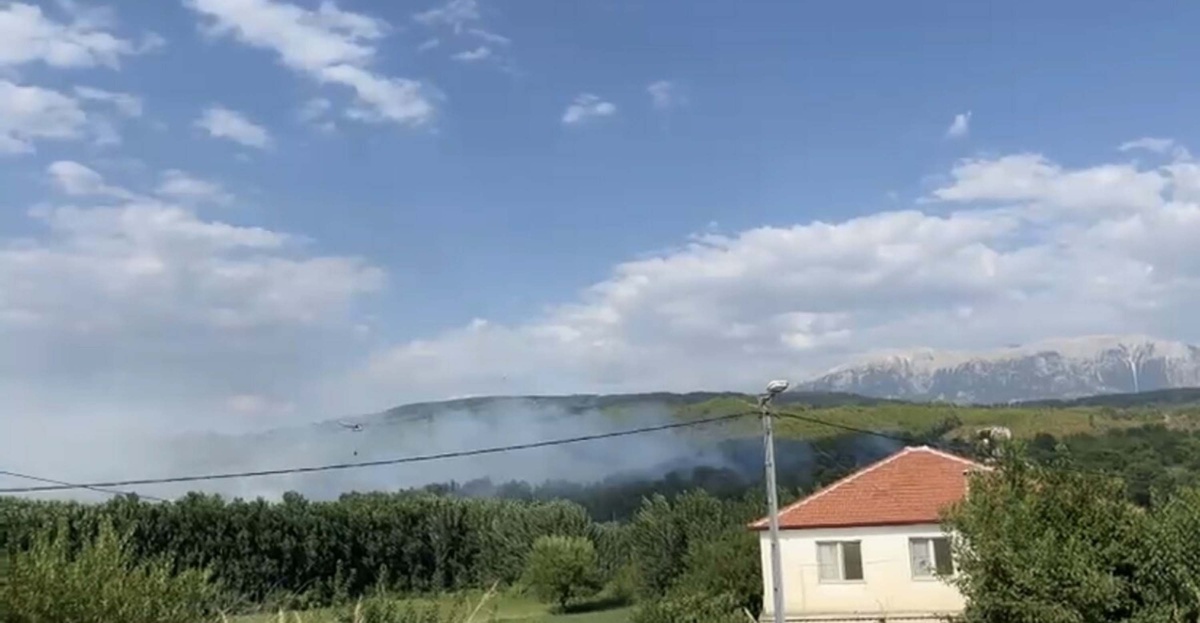 Seydikemer\'de Orman Yangını Kontrol Altına Alındı