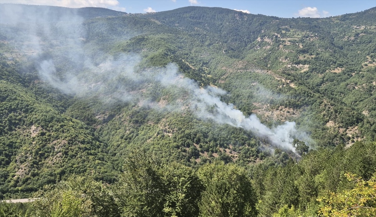 Sinop\'ta Orman Yangını Kontrol Altına Alındı