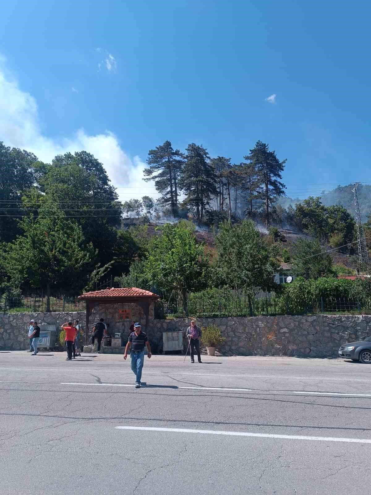 Gerze\'de Orman Yangını Kontrol Altında