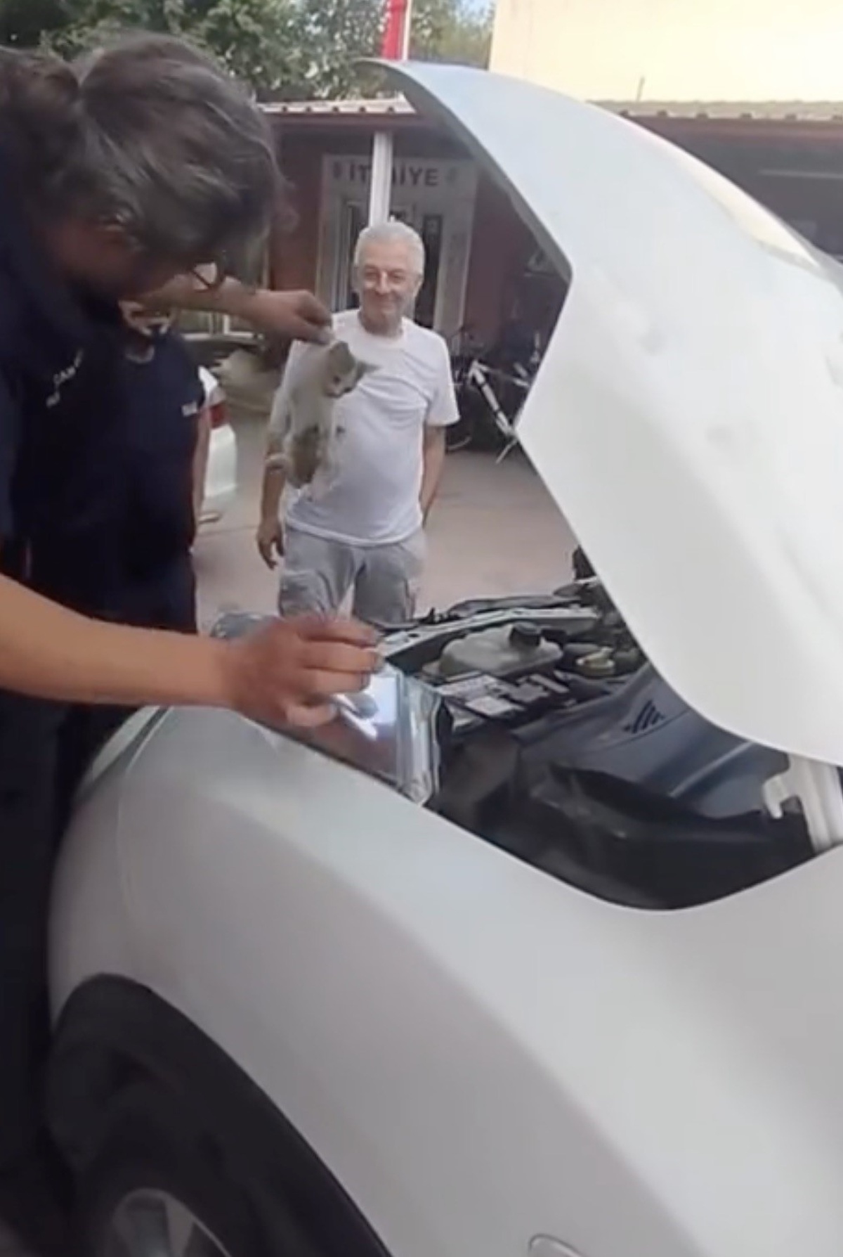 Yalova’da otomobile sıkışan minik kedinin yardımına itfaiye ekipleri yetişti