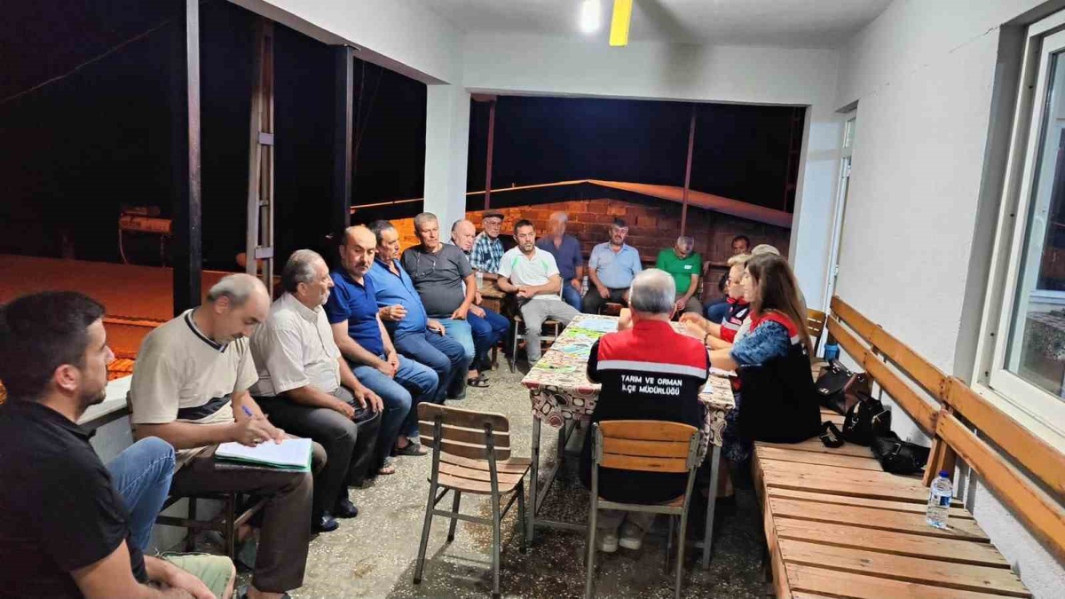 Aydın İnciri İçin Saha Eğitimleri Devam Ediyor