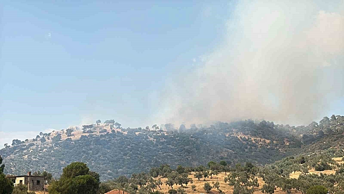 Çine’de orman yangını