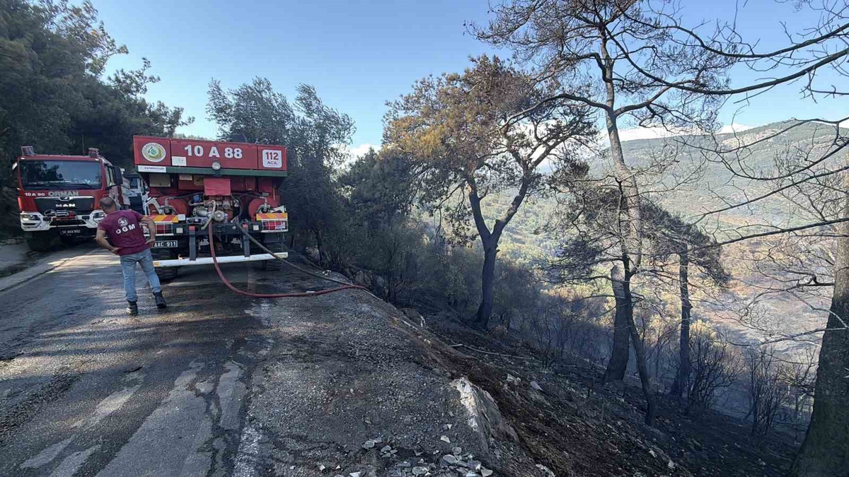 Balıkesir\'deki Yangınlar Kontrol Altında