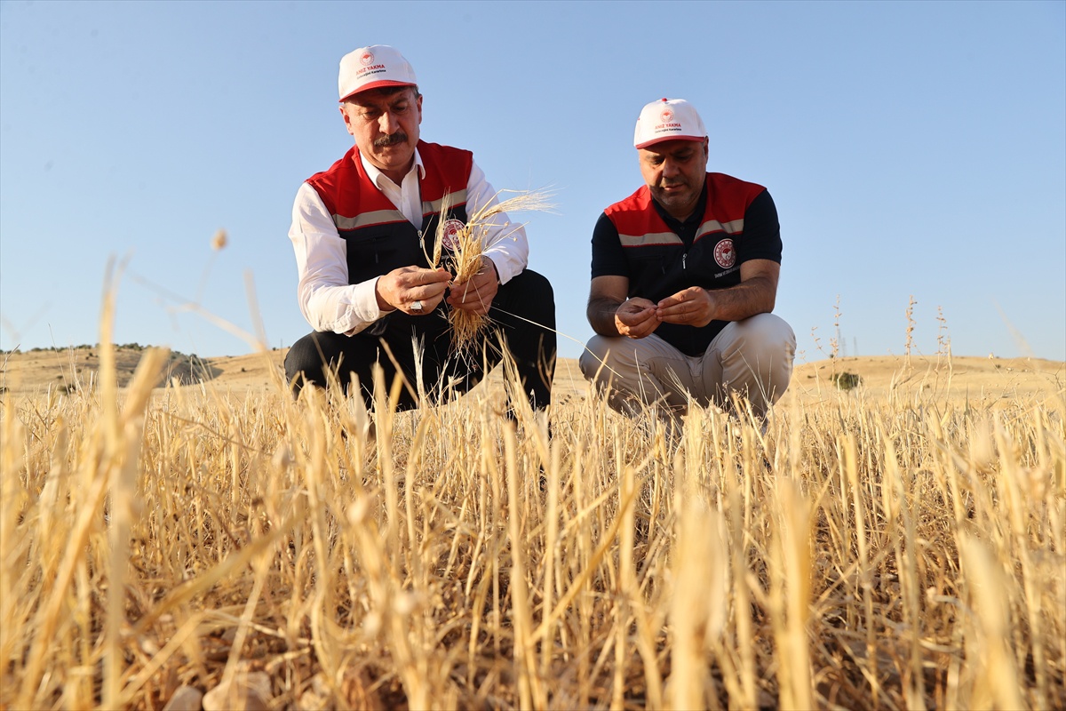 Diyarbakır, Batman ve Mardin\'de Anız Yangınları Azalıyor