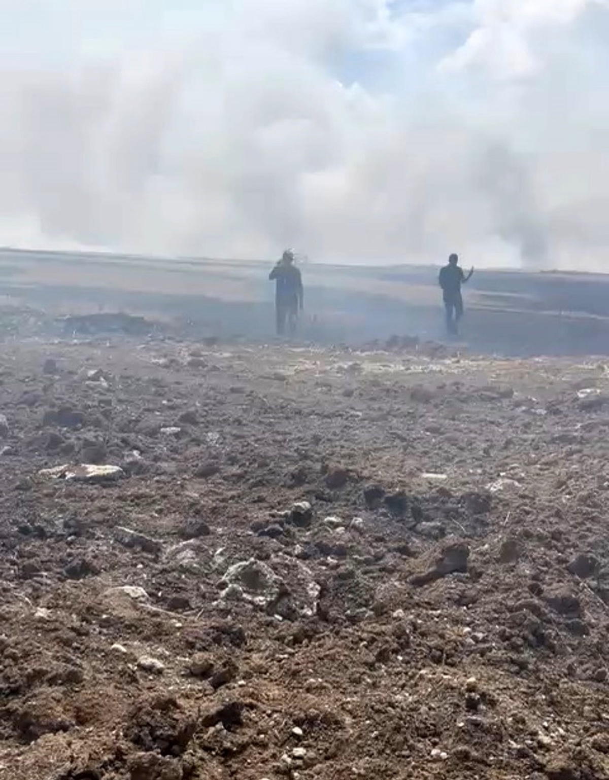 Zile\'de Hasat Tarlasında Yangın Çıktı