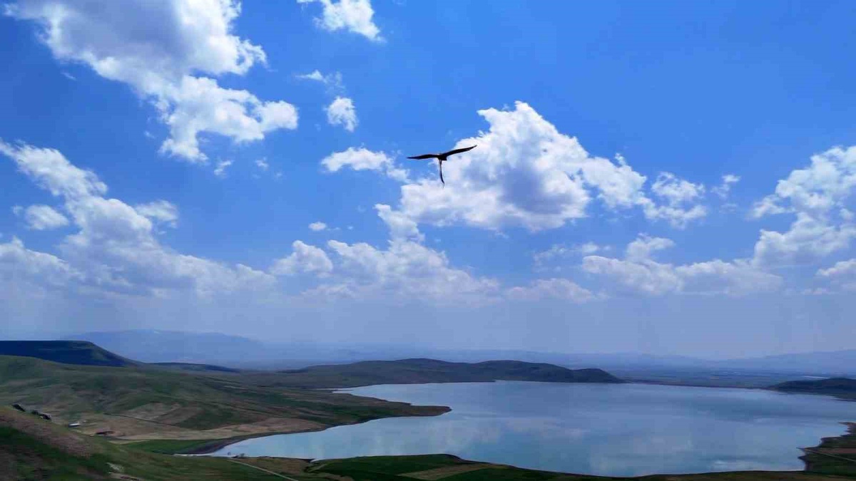 Kartal Yılan Avlarken Drone İle Görüntülendi