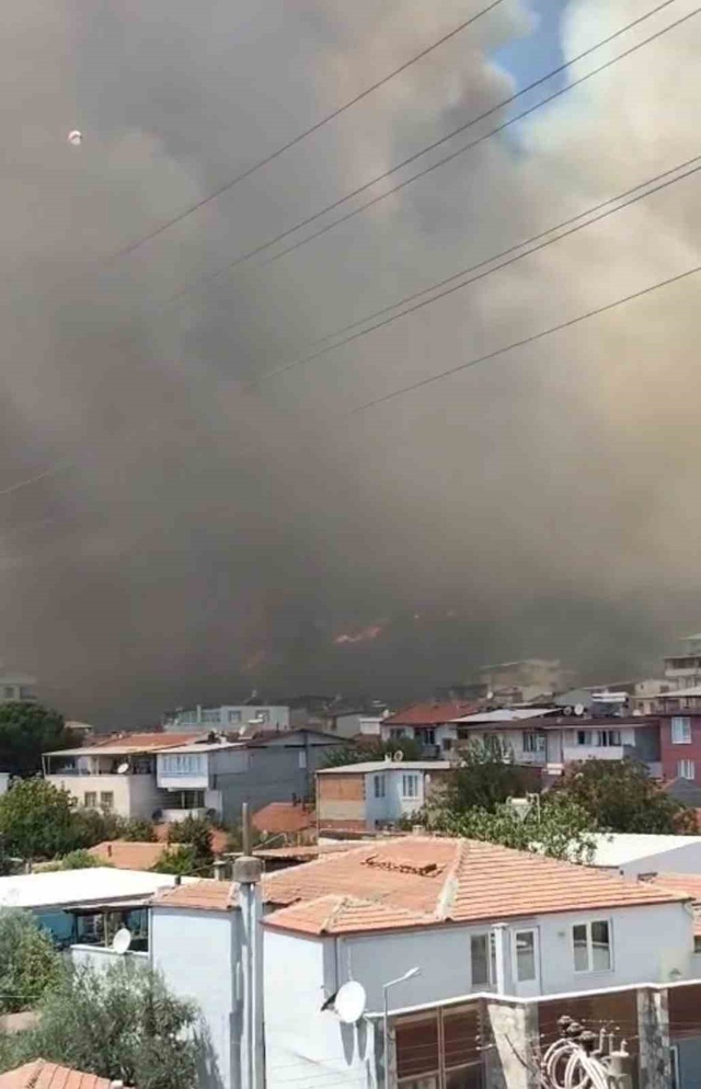 kazdaglari eteklerinde yangin siyah dumanlar 4 20141914 o
