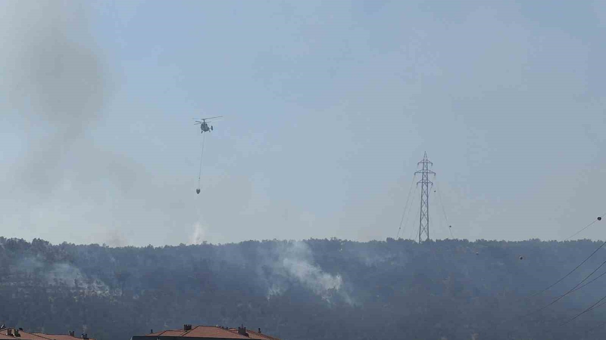 Kazdağları eteklerindeki yangın Zeytinli Mahallesine doğru ilerliyor
