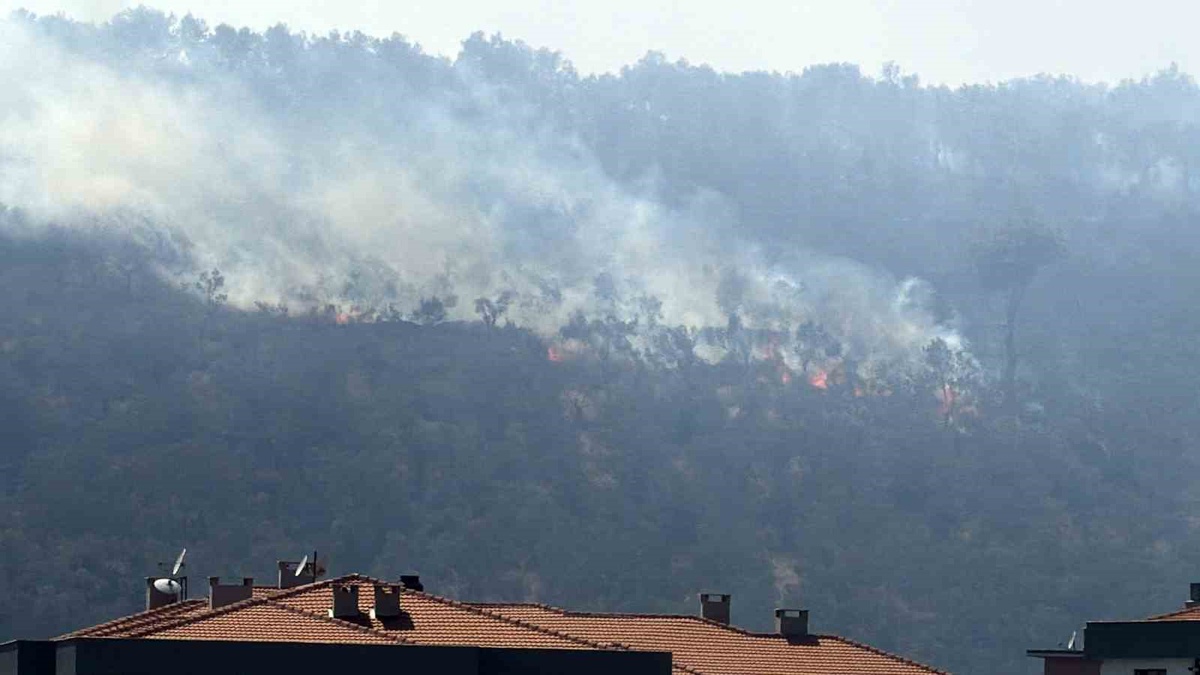 Edremit\'te Orman Yangınına Müdahele Devam Ediyor