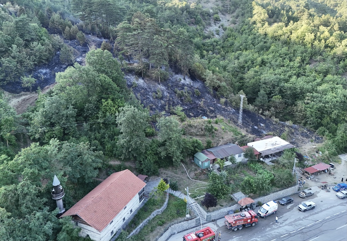 Sinop\'ta Yangın Çıkaran Şahıs Tutuklandı
