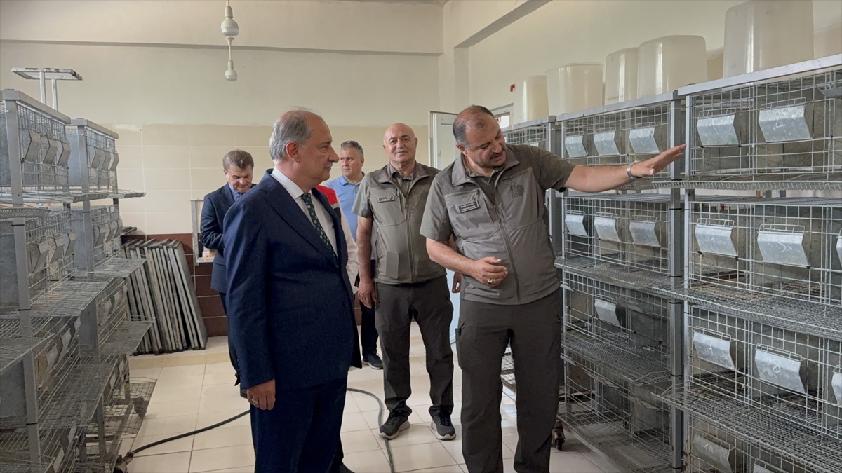 Bakan Yardımcısı Polat Yozgat’ta İncelemede Bulundu