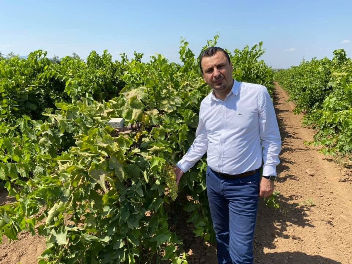 Üzüm Üreticileri TMO\'dan Fiyat Bekliyor