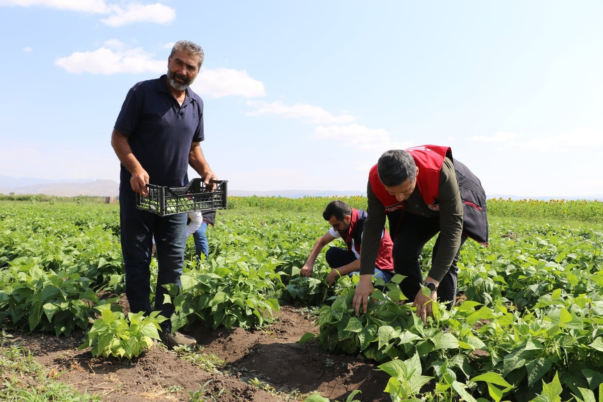Ozanlar Köyü\'nde Yeni Tarım Modeli