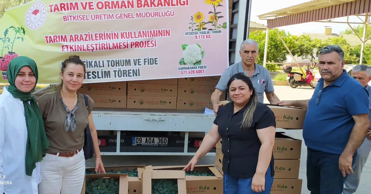 Aydın\'da Karnabahar Fideleri Dağıtımı Başladı