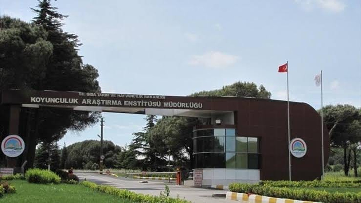 TÜBİTAK Destekli Proje Bandırma\'da