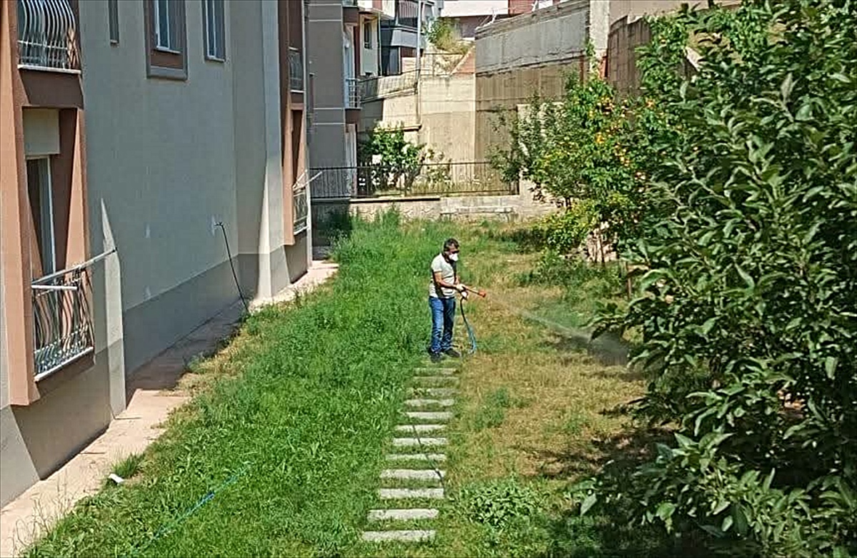 Bayburt\'ta Haşereyle Mücadele Devam Ediyor