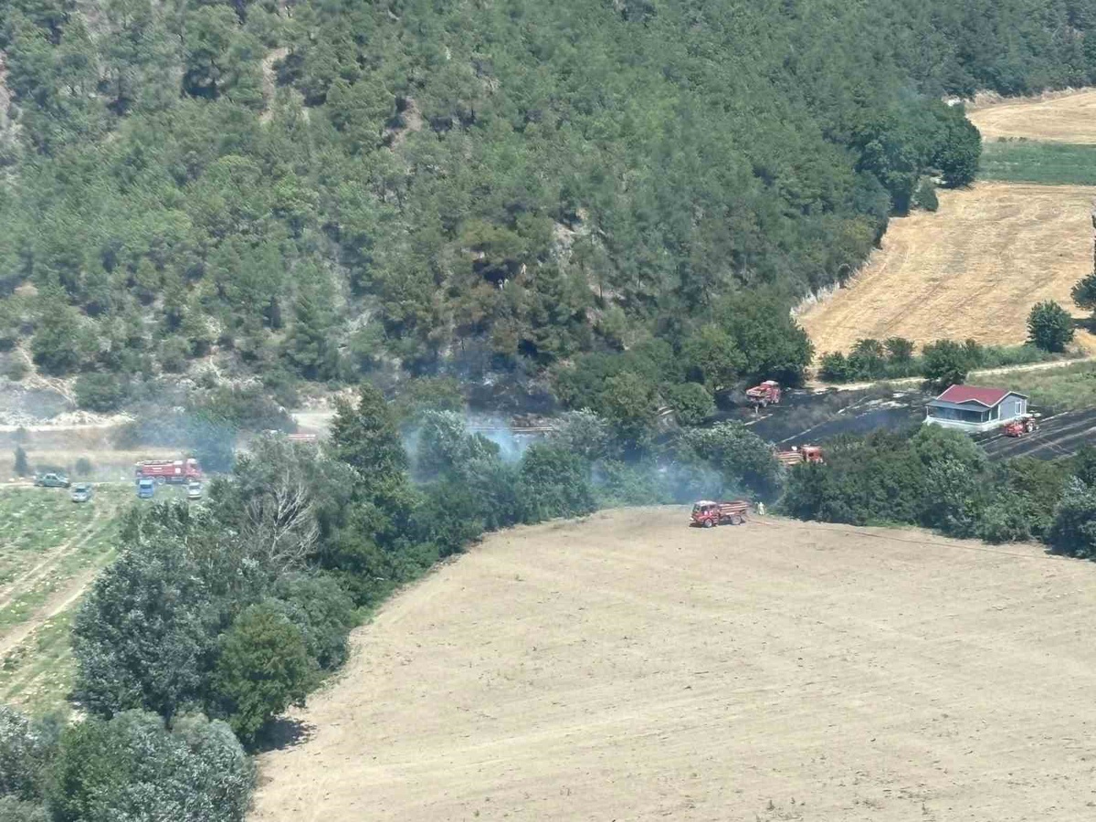 Bilecik\'te Orman Yangını Kontrol Altına Alındı