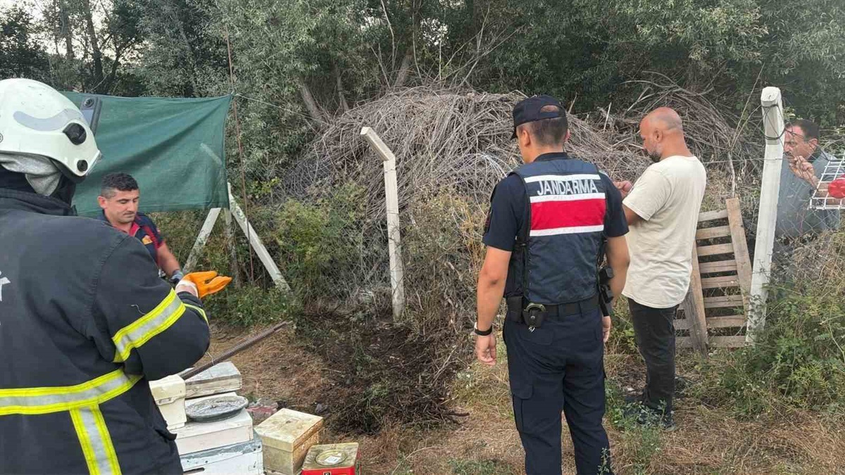 Bilecik\'te Yangın Kontrol Altına Alındı