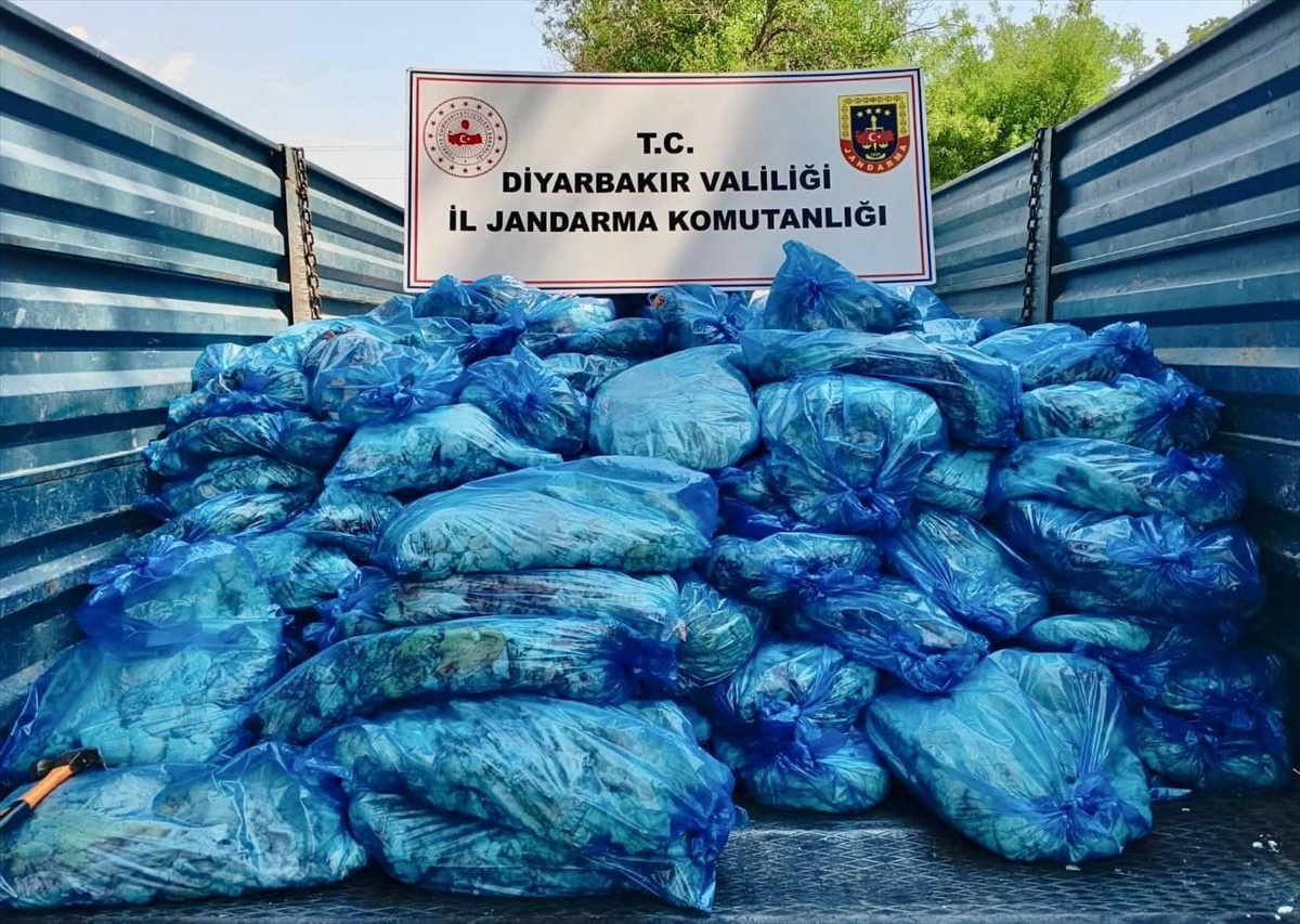 Çınar\'da 3 Ton Sağlıksız Gıda Ele Geçirildi