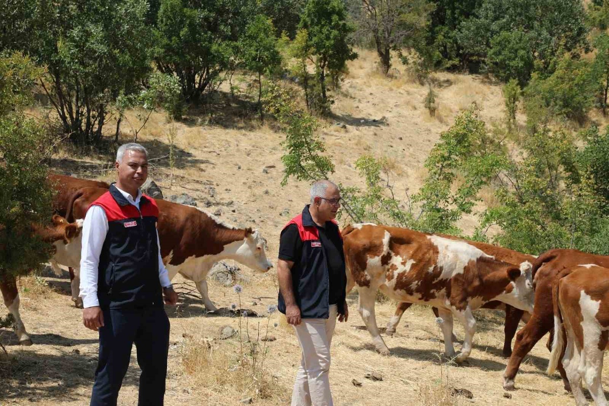 Elazığ\'da Hayvancılığa Destek Ziyareti