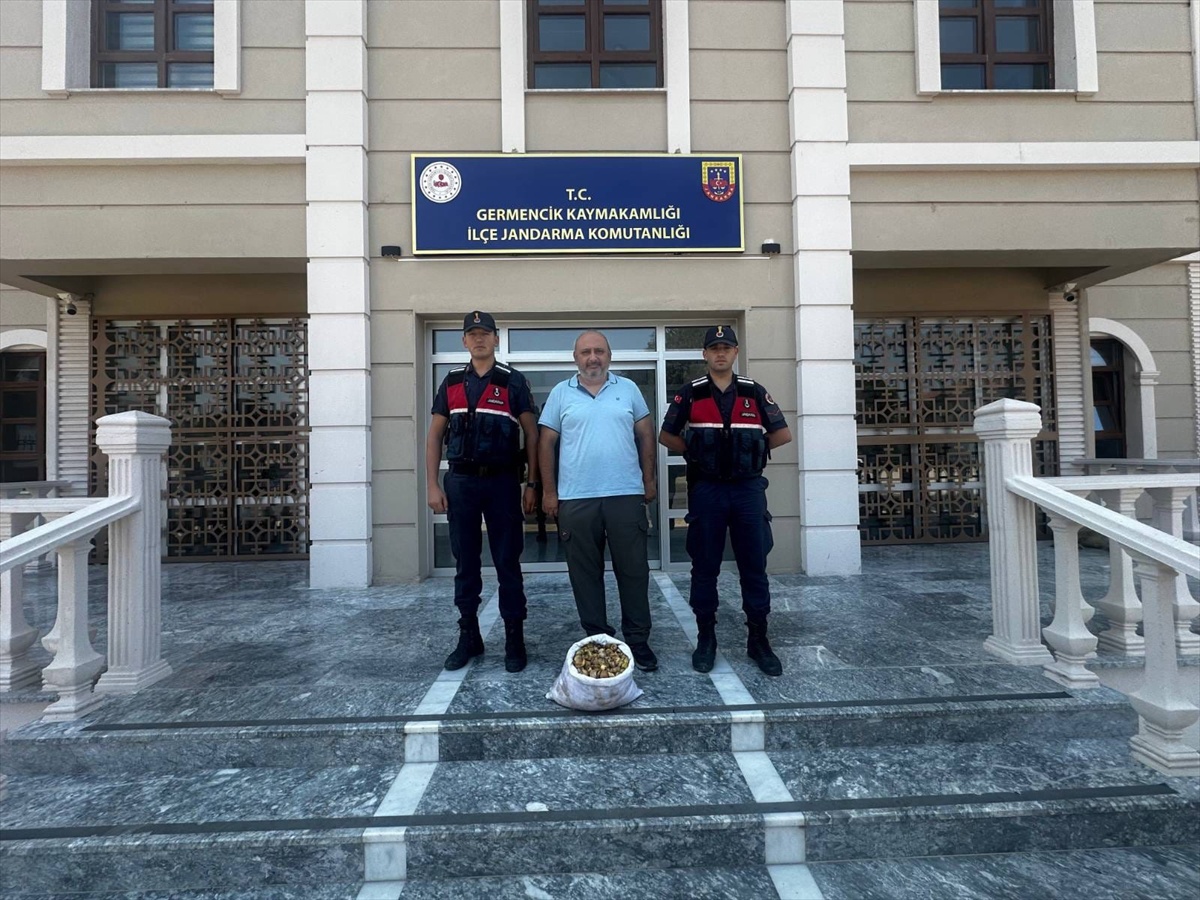 İncir Hırsızı Yakalandı, Salıverildi