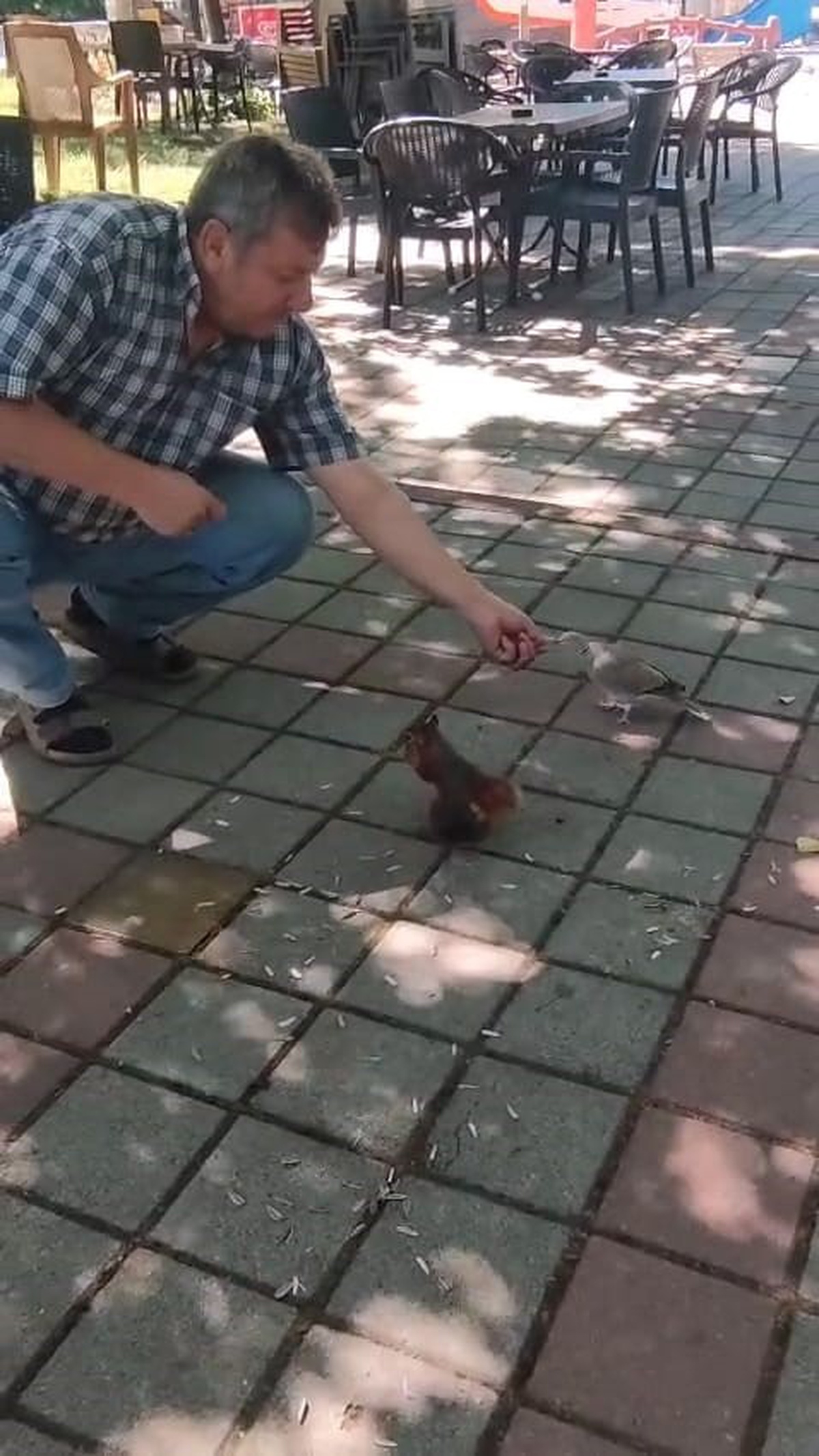 İnegöl\'de Sincap ve Kumruya Sevgi