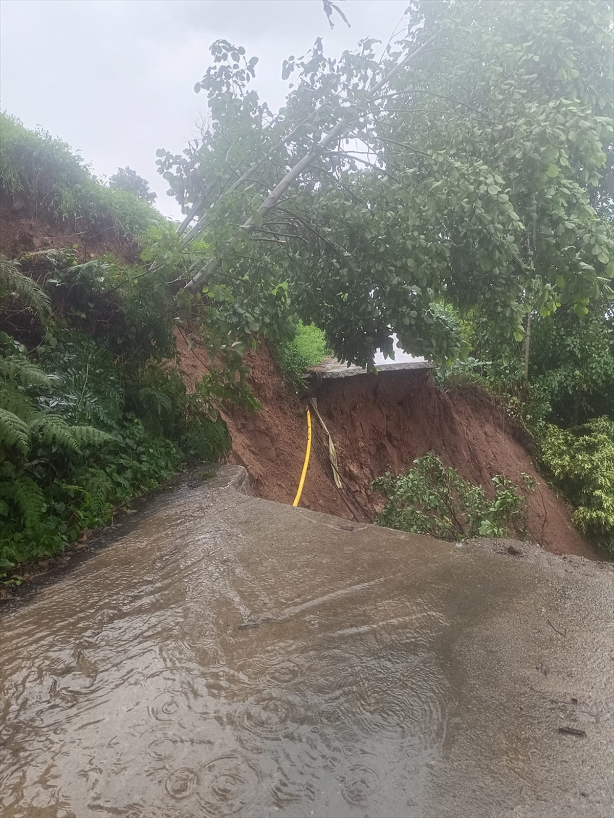Rize\'de Sağanak Sonrası Kardeşler Tahliye Edildi