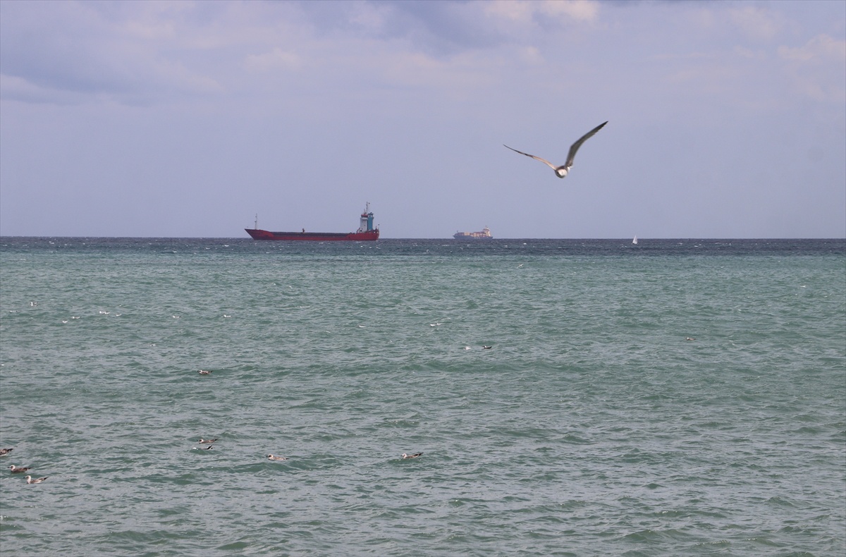 Tekirdağ\'da Poyraz Sorun Yaratıyor