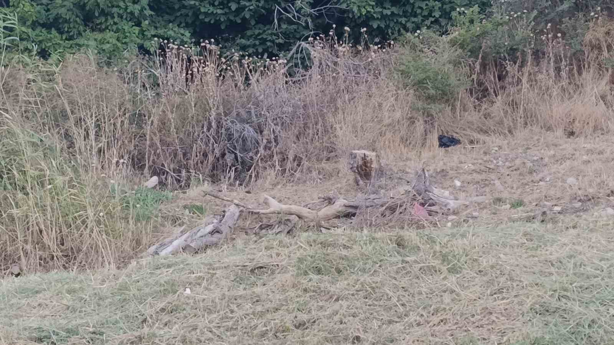 Tekirdağ\'da Kuvvetli Poyraz Olumsuz Etkiledi