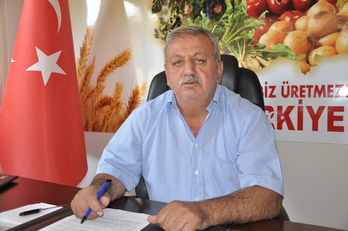 TMO Gümüşhacıköy\'de 15 bin ton hububat aldı