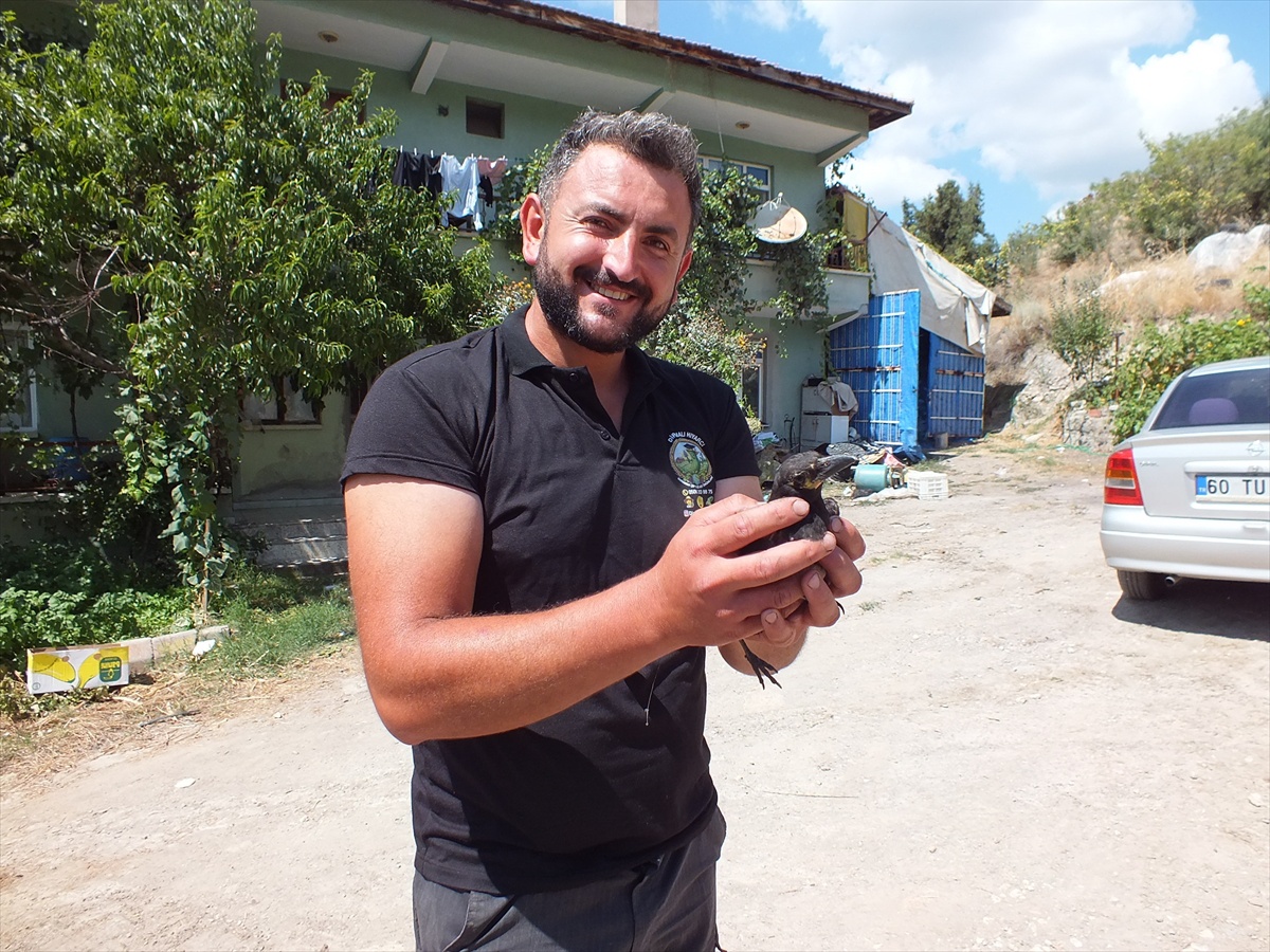 Perişan: Ailenin Neşe Kaynağı Saksağan