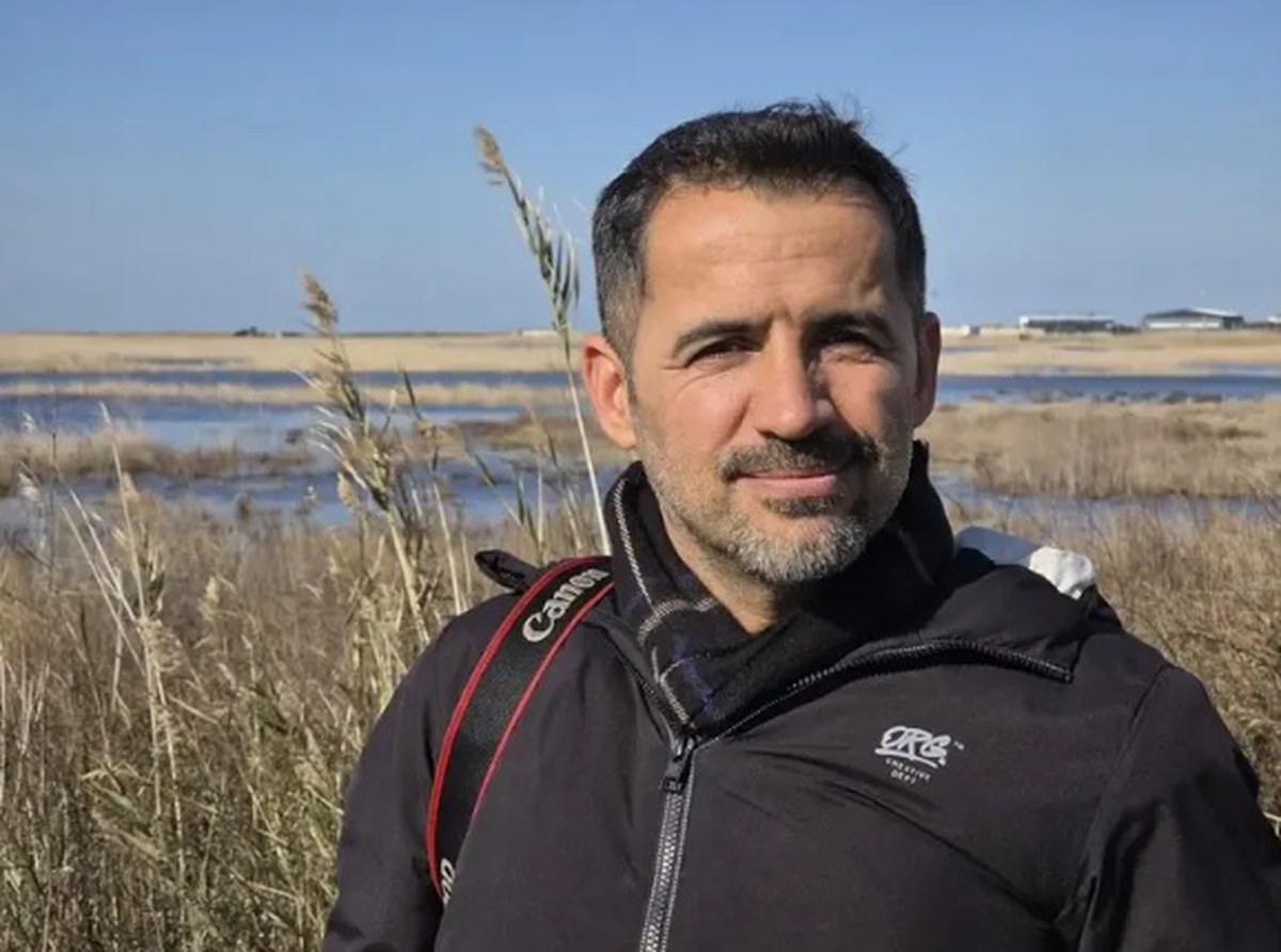 Kaplumbağa Yavruları için Yapay Işık Uyarısı