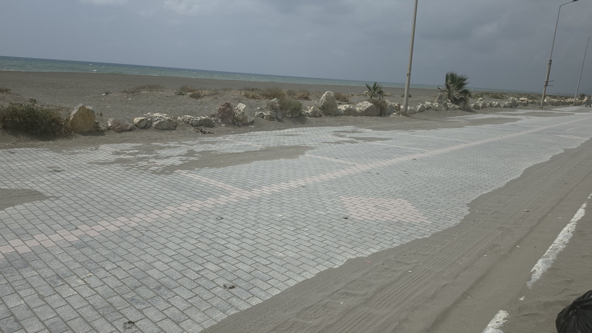 Samandağ\'da Yavru Kaplumbağalar Araçların Altında Kaldı