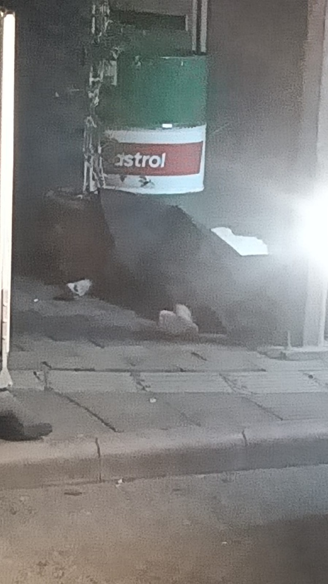 3. kattan çıplak halde düşüp hayatını kaybetti