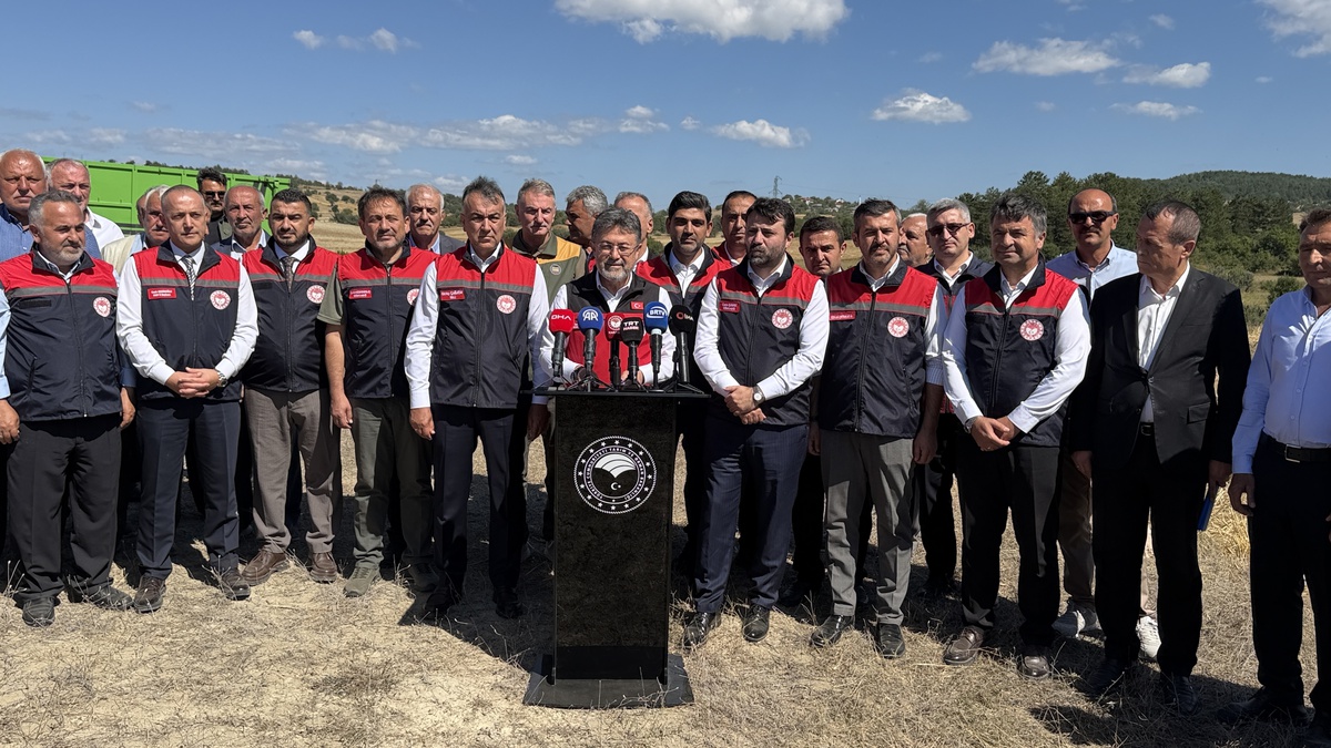 Türkiye, buğday hasadında rekor kırdı