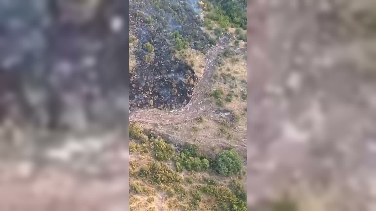 Balıkesir\'de Orman Yangını Kontrol Altında