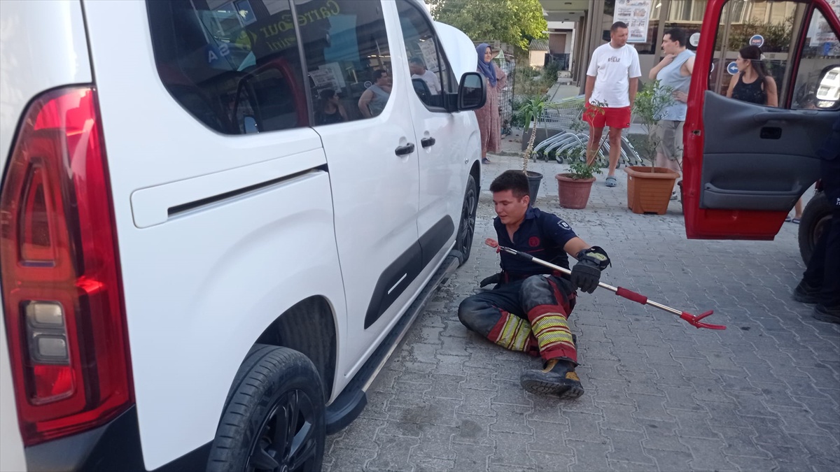 Kedi Yavrusu Araç Motorundan Kurtarıldı