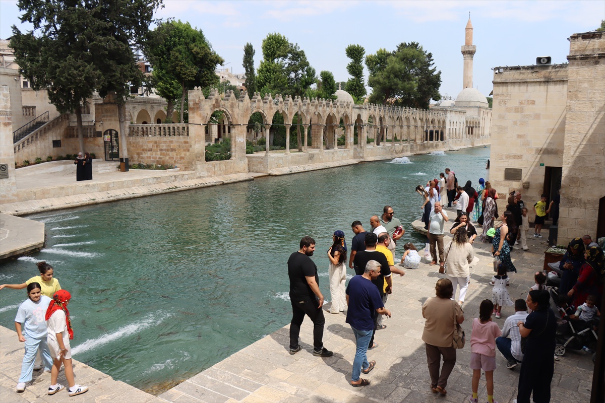 Şanlıurfa\'da Balıklıgöl\'e Yoğun İlgi