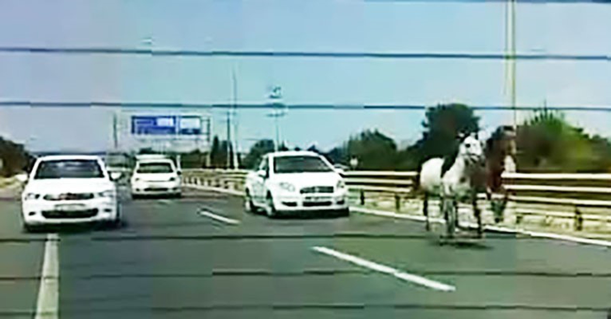 İnegöl\'de Başıboş Atlar Trafikte Yarıştı