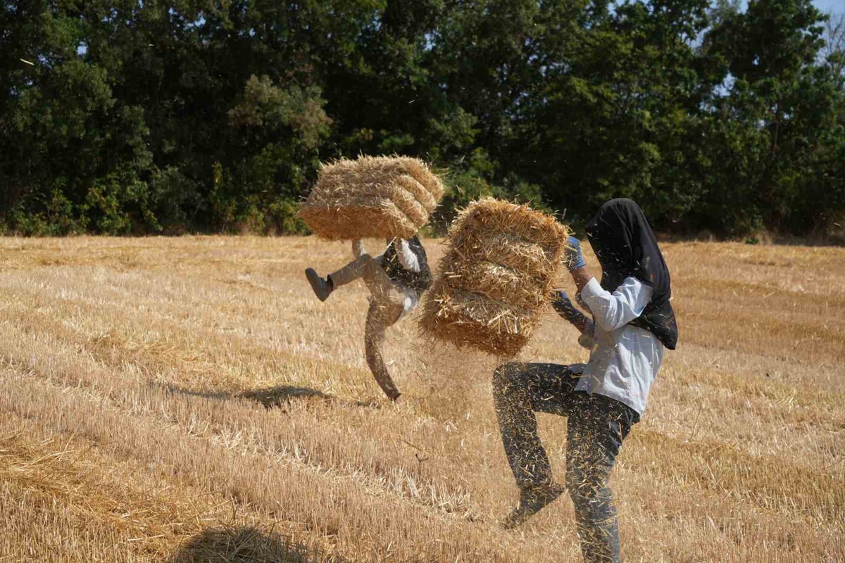 Edirne\'de Balya Sezonu Sonlarına Geliyor
