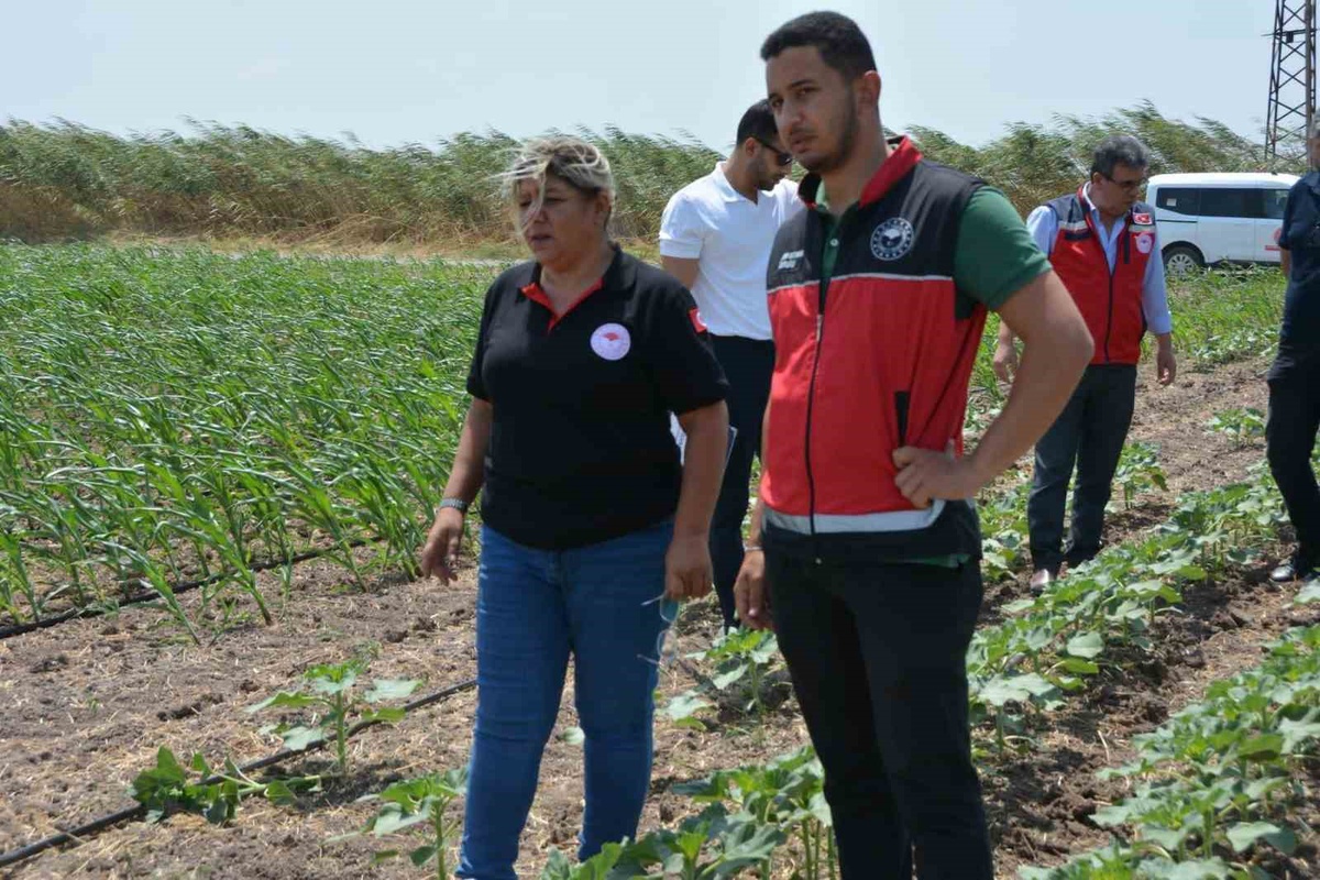 Hatay\'da Tohum Kontrolleri Yapıldı