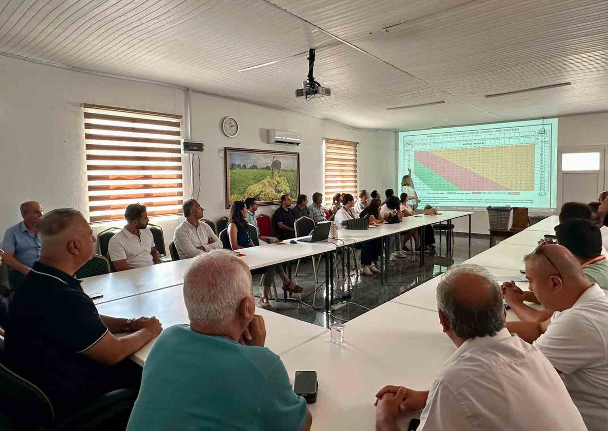Turunçgillerde Doğru Hasat Eğitimi