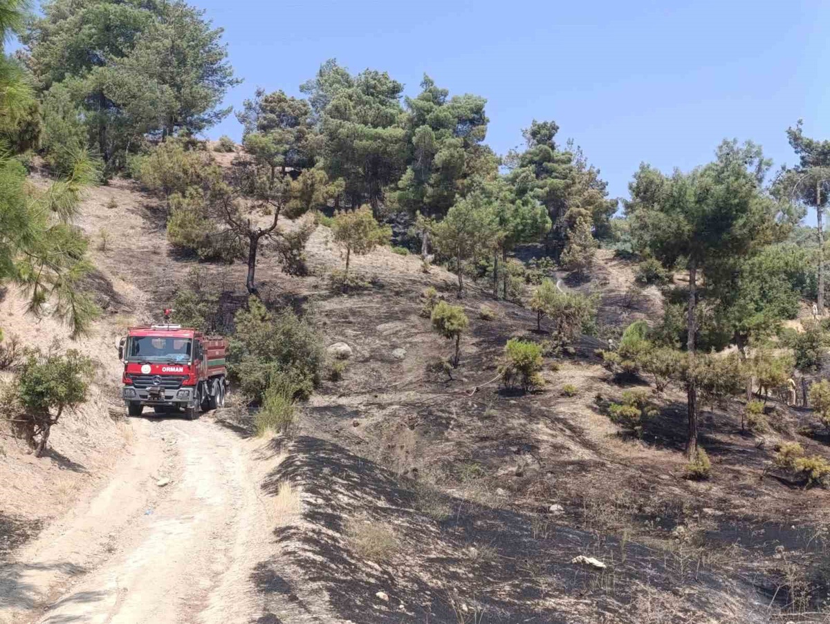 Kahramanmaraş\'ta Orman Yangını Kontrol Altına Alındı