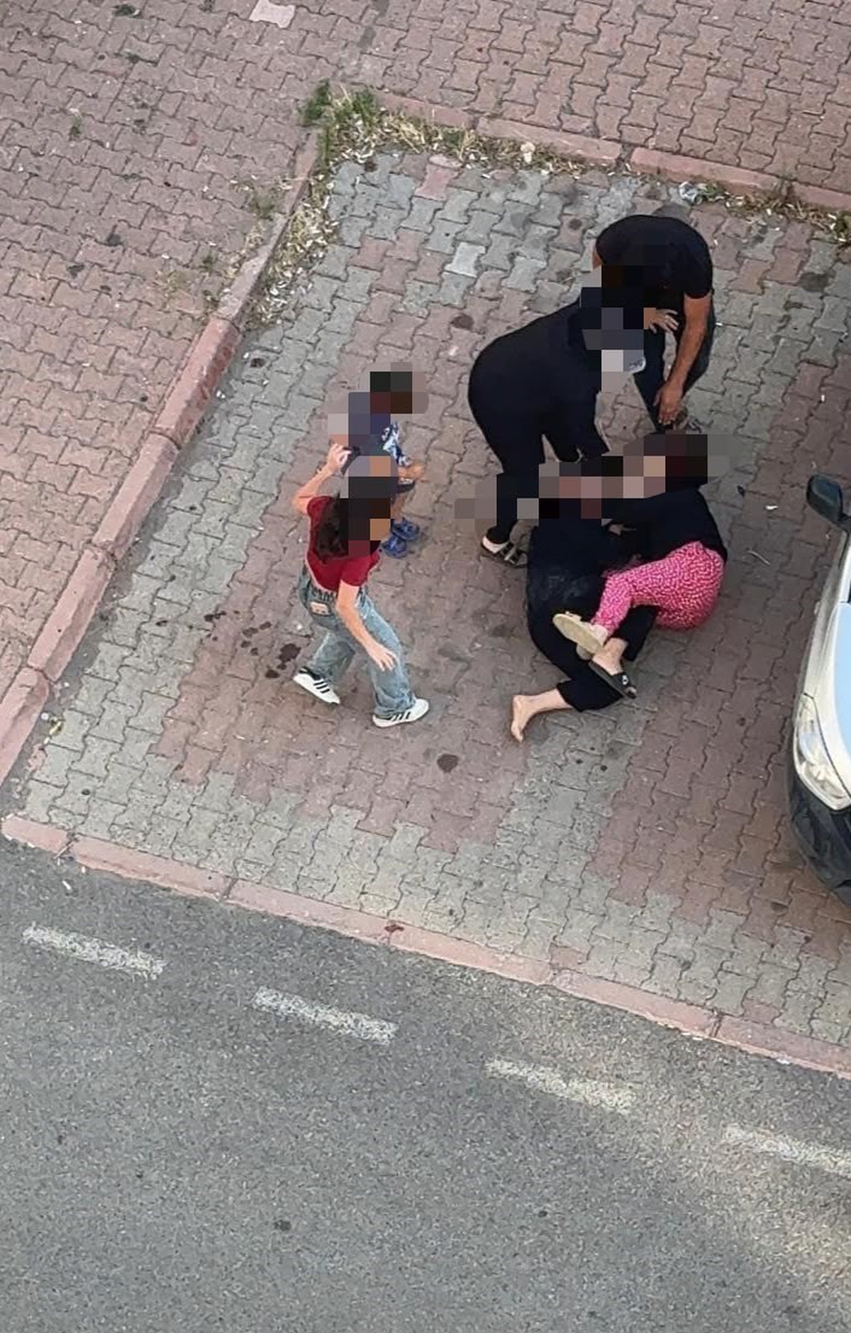 Kamelyada Kavga: Kadınlar Arasında Saç Başa Çatışma
