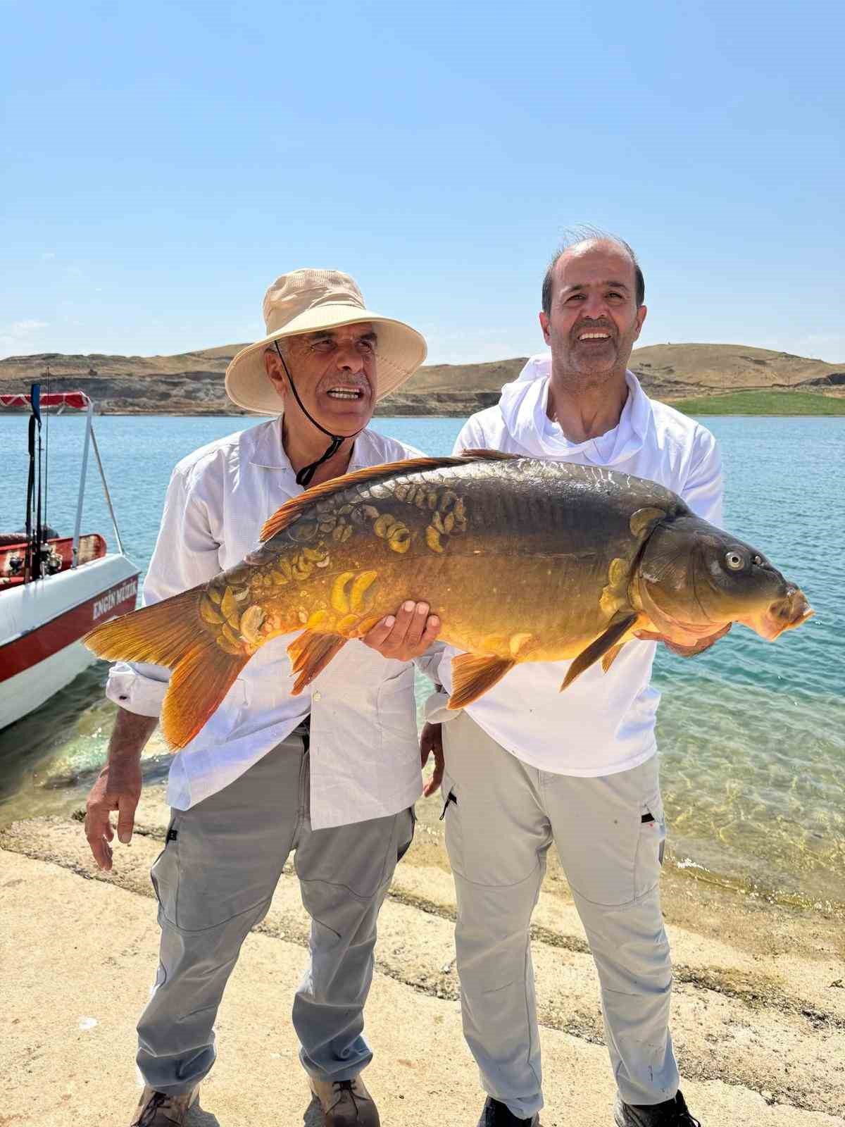 Dev Sazan Balığı Yakalandı