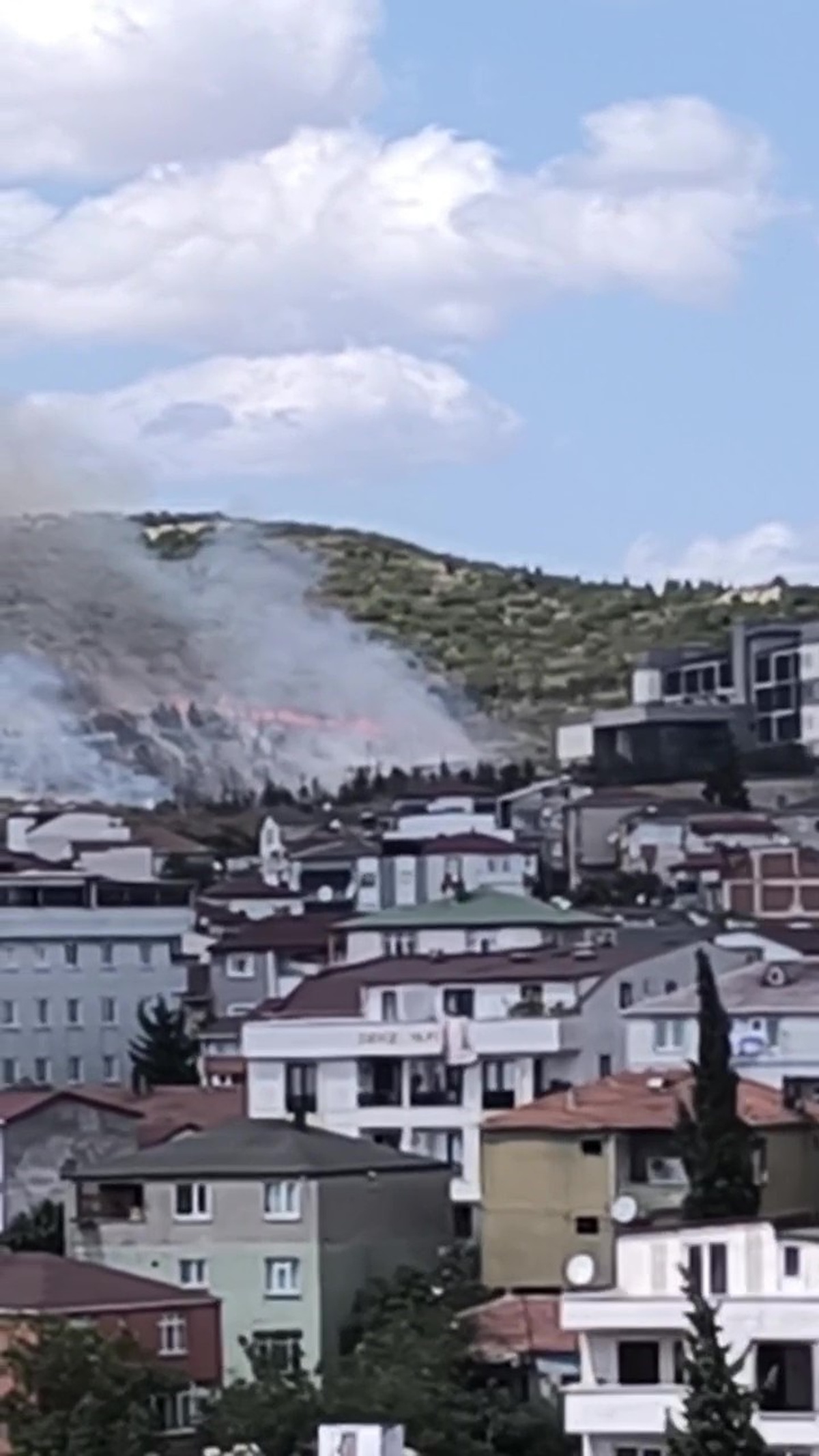 Kocaeli\'de Orman Yangını