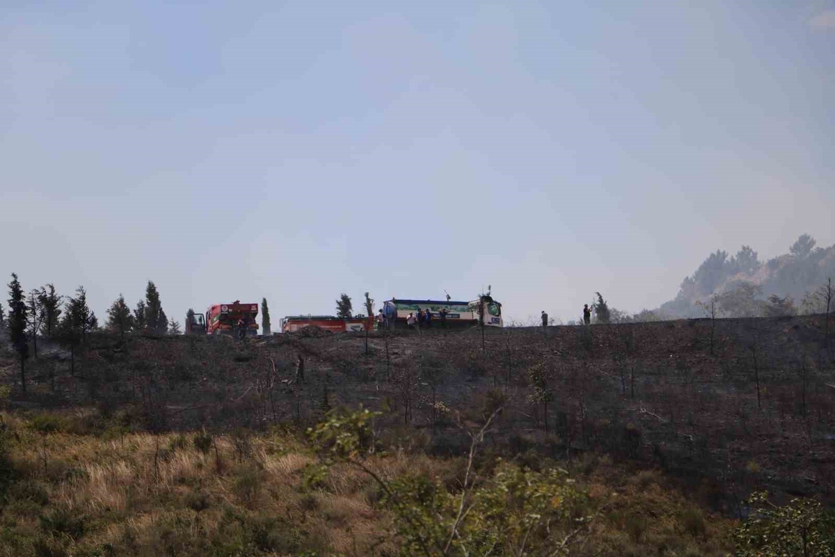 Gebze\'de Orman Yangını Kontrol Altına Alındı